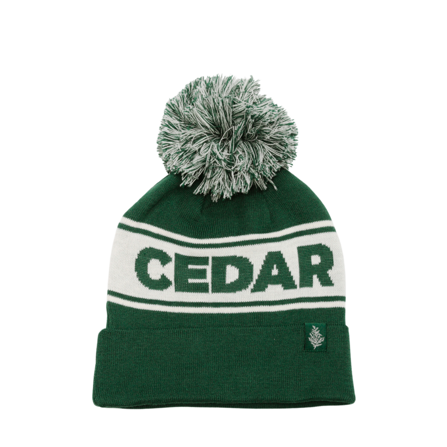 Kid's Pom Beanie