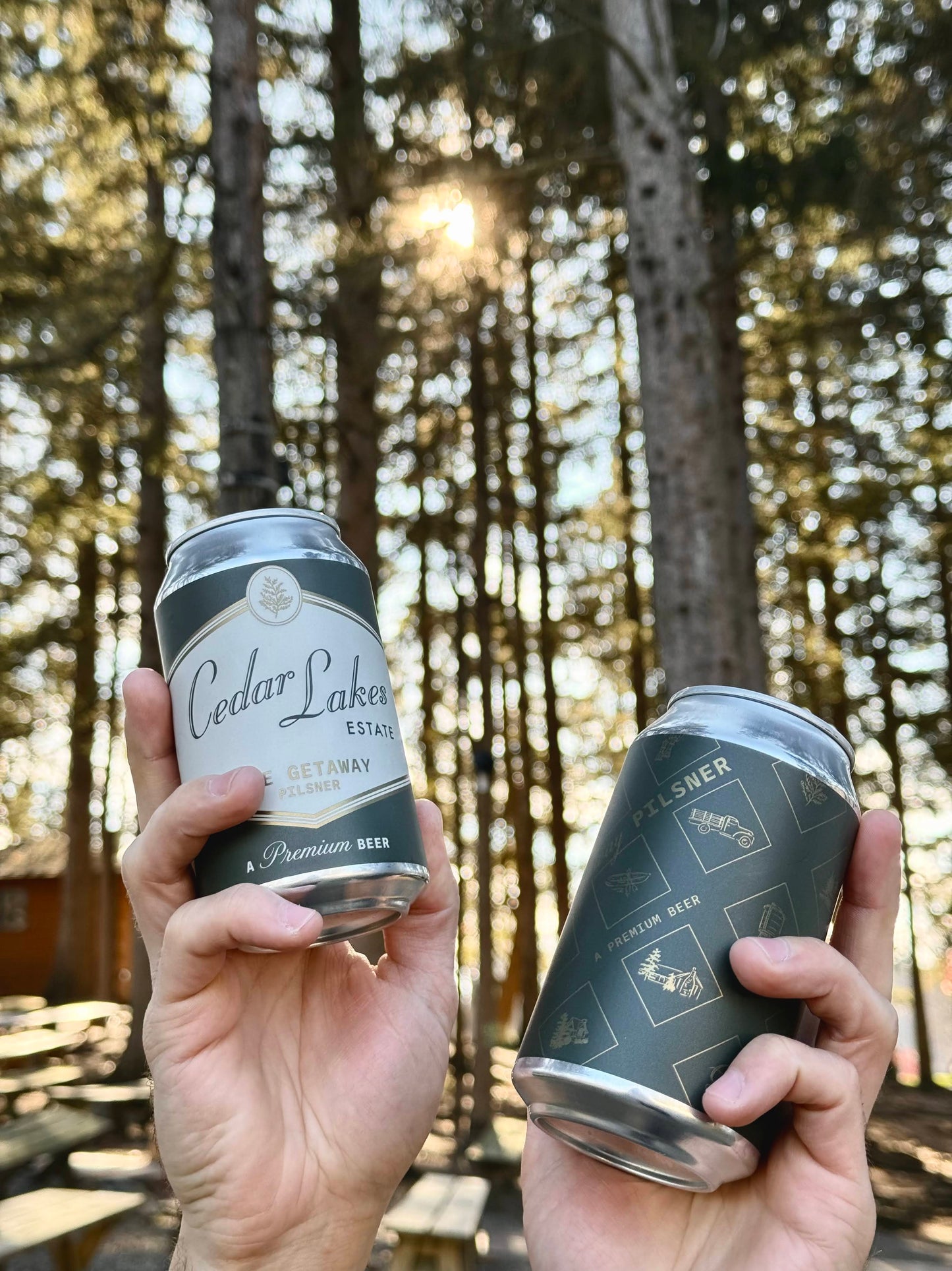 The Getaway Pilsner: 4-Pack