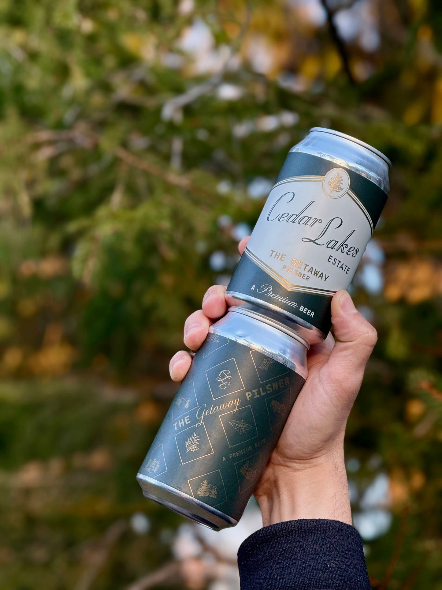 The Getaway Pilsner: 4-Pack